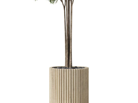 Plants collection 878 3D Model