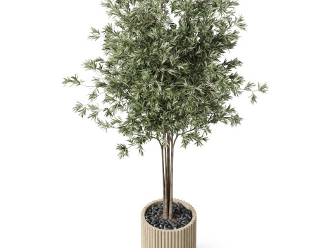 Plants collection 878 3D Model