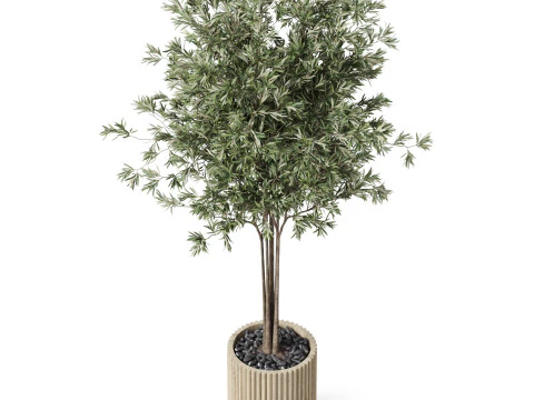 Plants collection 878 3D Model