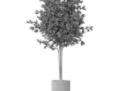 Plants collection 878 3D Model