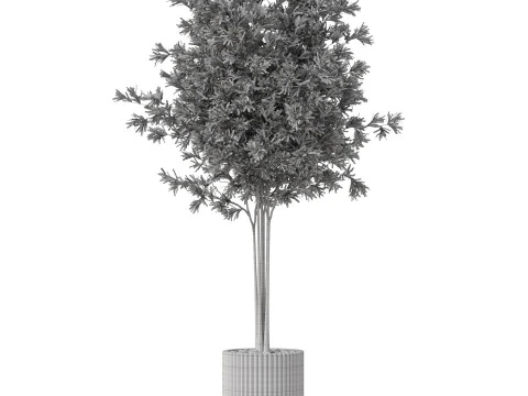 Plants collection 878 3D Model