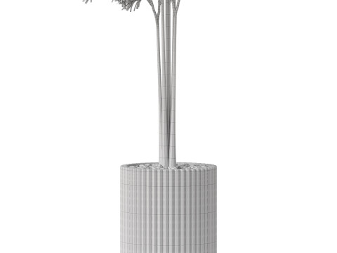 Plants collection 878 3D Model
