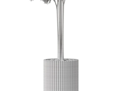 Plants collection 878 3D Model