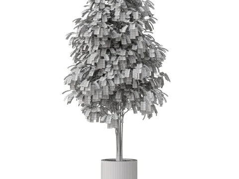 Plants collection 879 3D Model