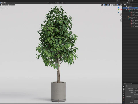 Plants collection 879 3D Model