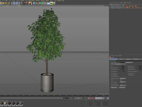 Plants collection 879 3D Model