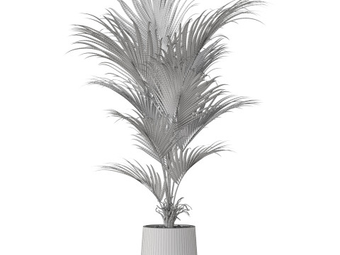 Plants collection 880 3D Модель