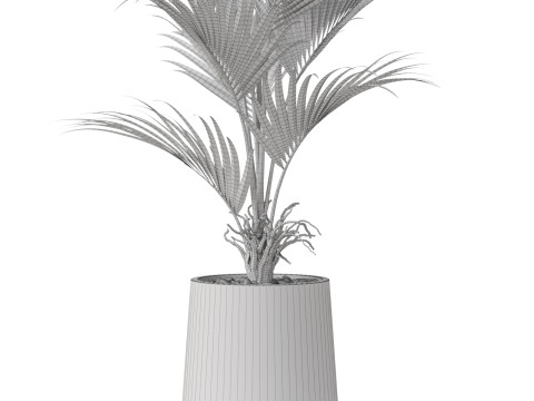Plants collection 880 3D Модель