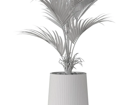 Plants collection 880 3D Model