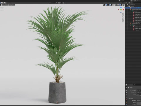 Plants collection 880 3D Model