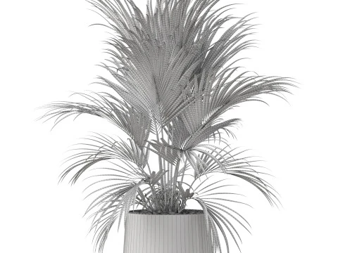 Plants collection 881 3D Model