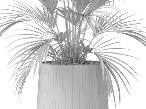 Plants collection 881 3D Model