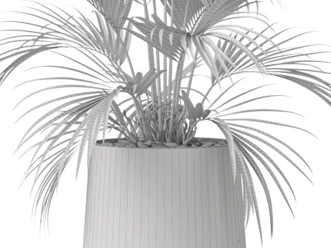 Plants collection 881 3D Model