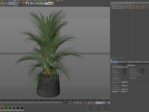 Plants collection 881 3D Model