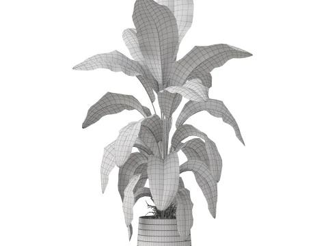 Plants collection 882 3D Model