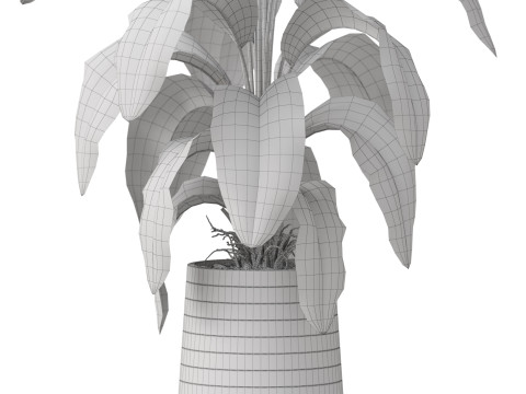 Plants collection 882 3D Model