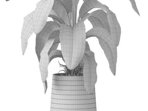 Plants collection 882 3D Model