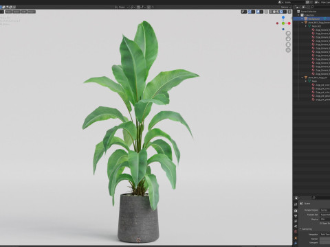 Plants collection 882 3D Model