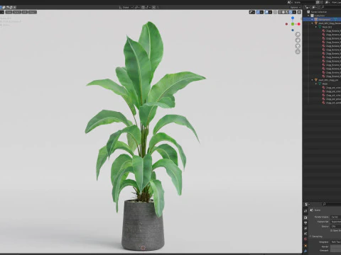 Plants collection 882 3D Model