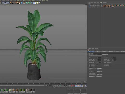 Plants collection 882 3D Model