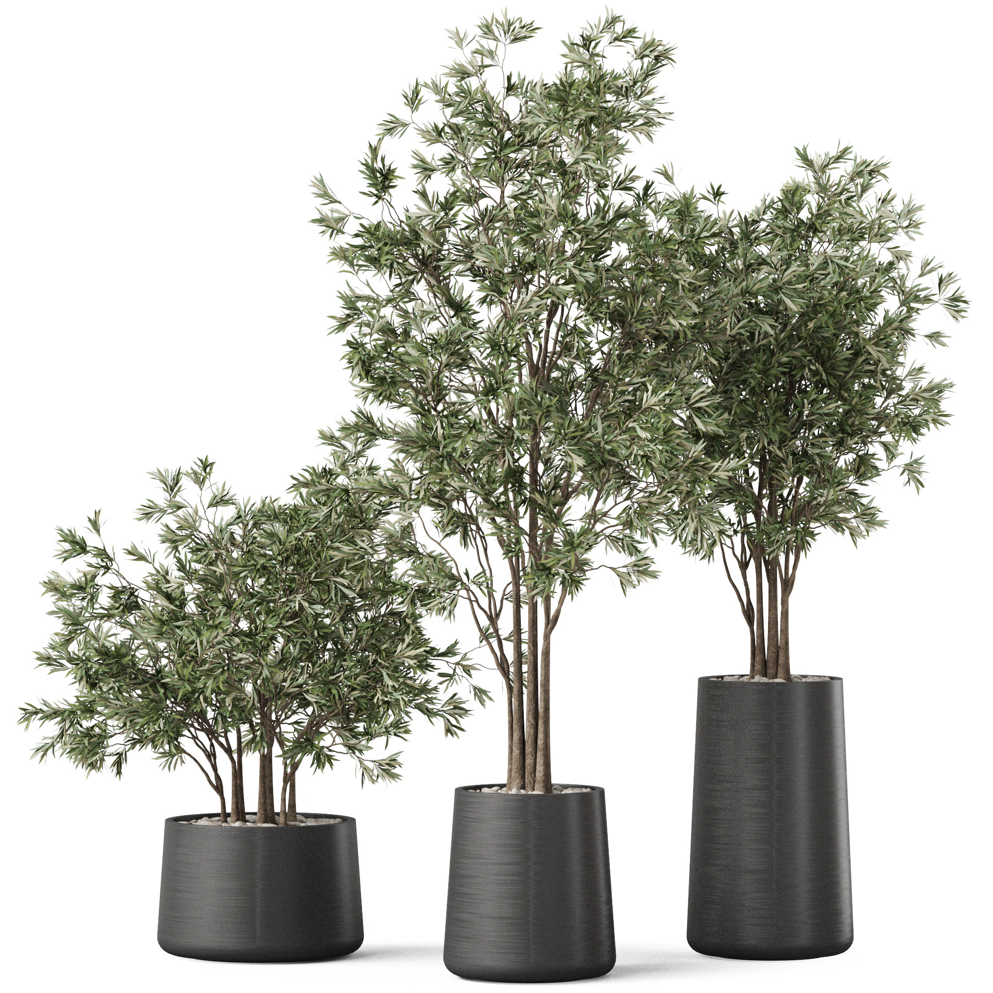 Plants collection 883 3D Model .c4d .max .obj .3ds .fbx .stl .blend