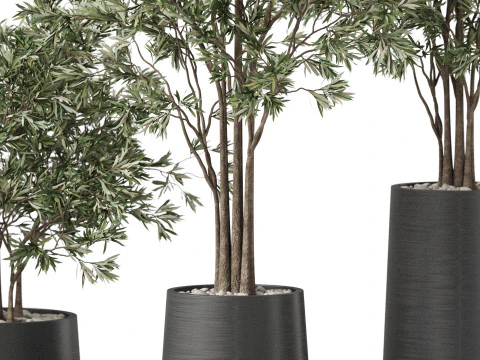 Plants collection 883 3D Model