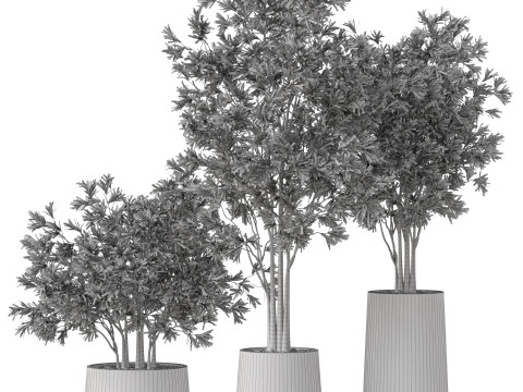 Plants collection 883 Modelo 3D