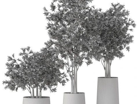 Plants collection 883 3D Model