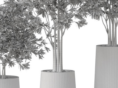 Plants collection 883 Modelo 3D