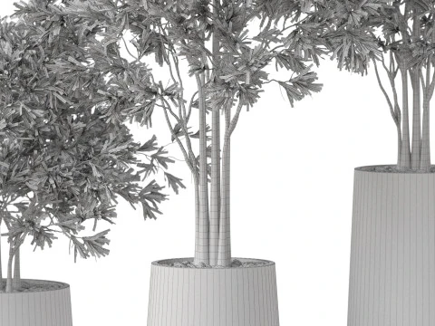 Plants collection 883 3D Model