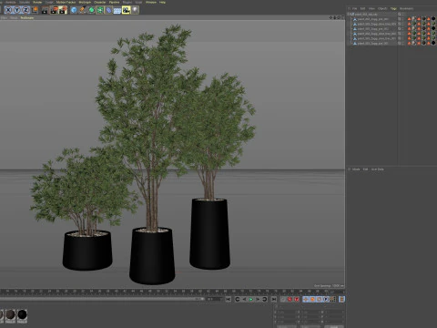 Plants collection 883 3D Model
