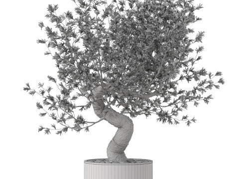 Plants collection 884 Model 3D