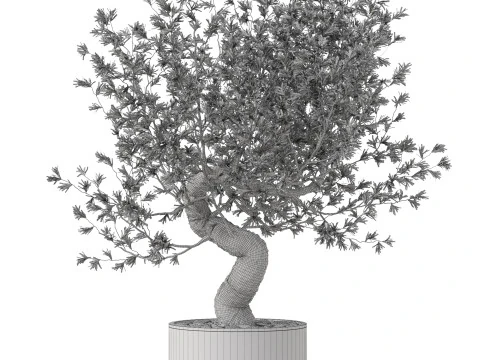 Plants collection 884 3D Model