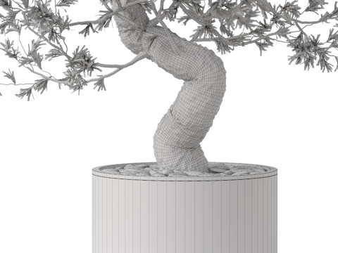 Plants collection 884 Model 3D