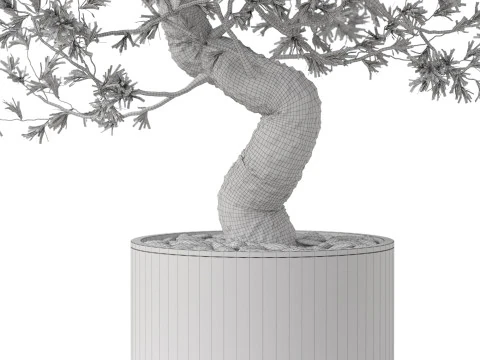Plants collection 884 3D Model