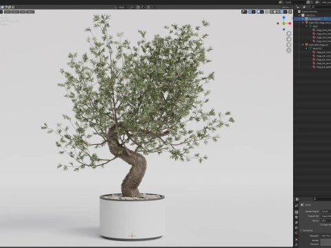Plants collection 884 3D Model