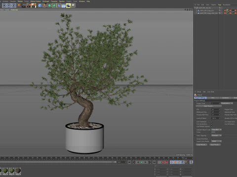 Plants collection 884 3D Model