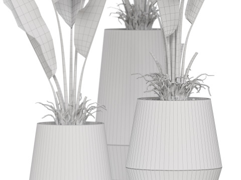 Plants collection 885 Modelo 3D