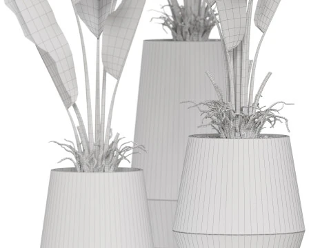 Plants collection 885 3D Model