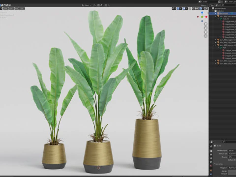 Plants collection 885 3D Model