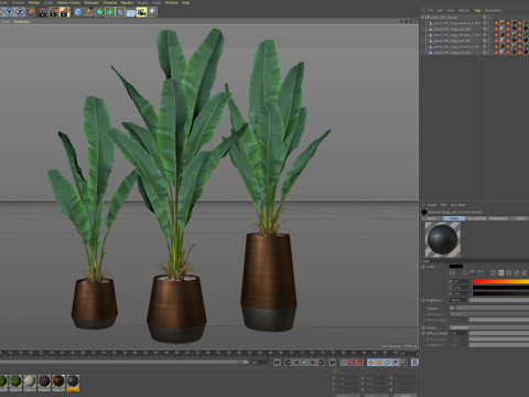 Plants collection 885 Modelo 3D