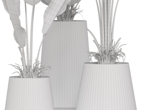 Plants collection 886 Modelo 3D
