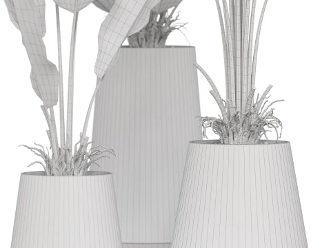 Plants collection 886 3D Model