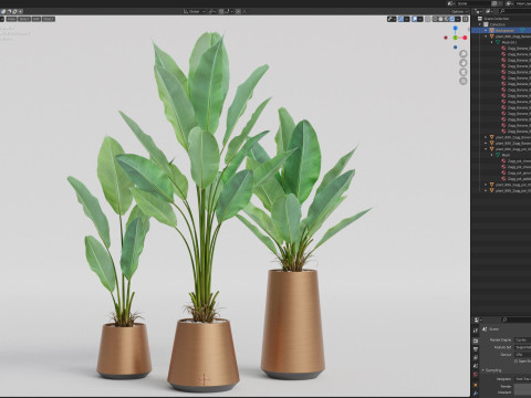 Plants collection 886 Modelo 3D