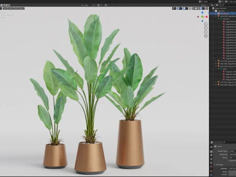 Plants collection 886 3D Model