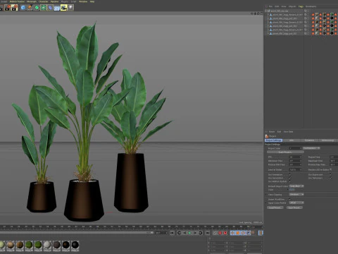 Plants collection 886 3D Model