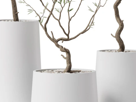 Plants collection 887 3D Model