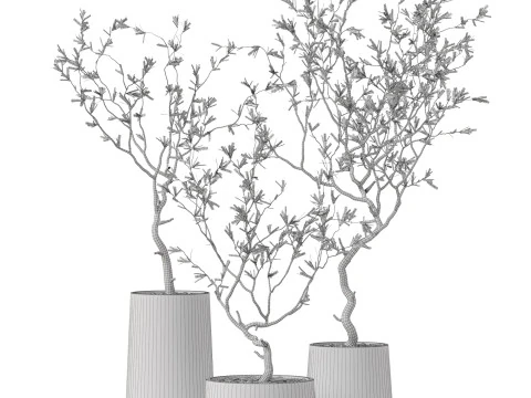 Plants collection 887 3D Model