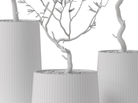Plants collection 887 3Dモデル