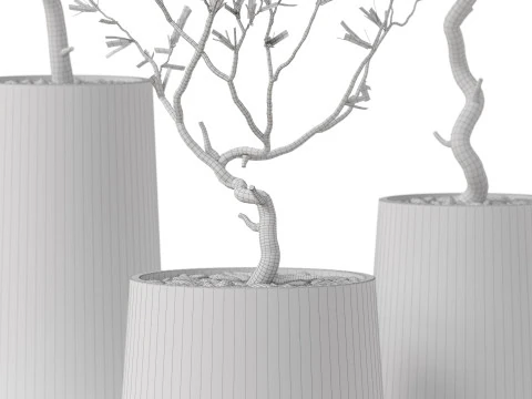 Plants collection 887 3D Model
